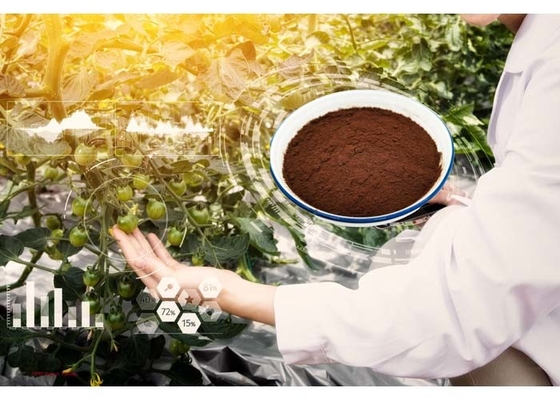 Agriculture Waste 100% Enzymatic Hydrolysis Amino Acid Plant Natural Fertilizer Powder