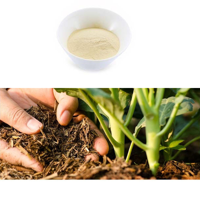 Fish paste Plant Biostimulants , Easy To Apply 100% Fish Fertilizer