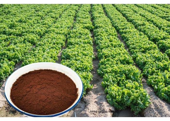 Agriculture Waste 100% Enzymatic Hydrolysis Amino Acid Plant Natural Fertilizer Powder